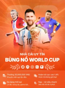 wc auth banner. tic88